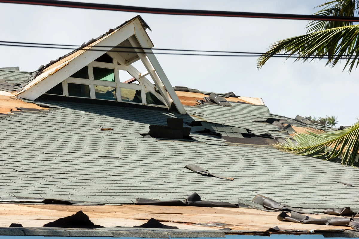 roofing-shingles-damaged-on-roof